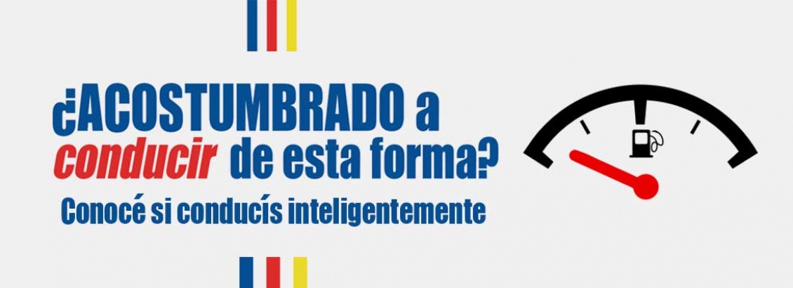 ¿Acostumbrado a conducir con el tanque casi vacío?